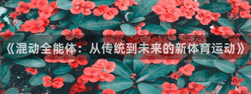 米兰体育网站