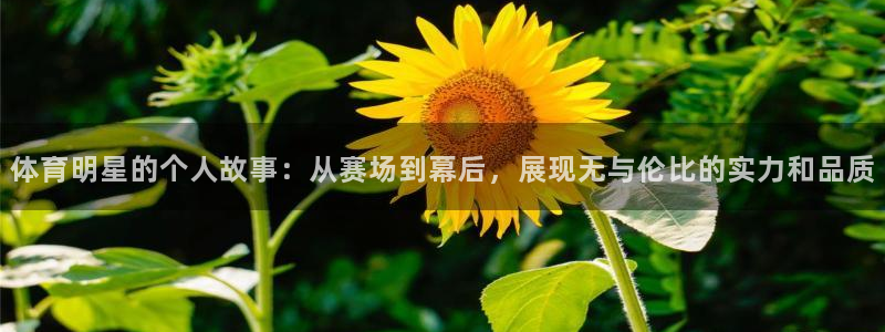 米兰体育登录