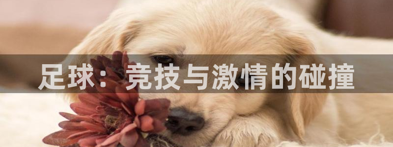 米兰体育app