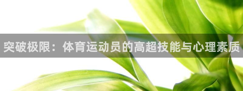 米兰体育网址