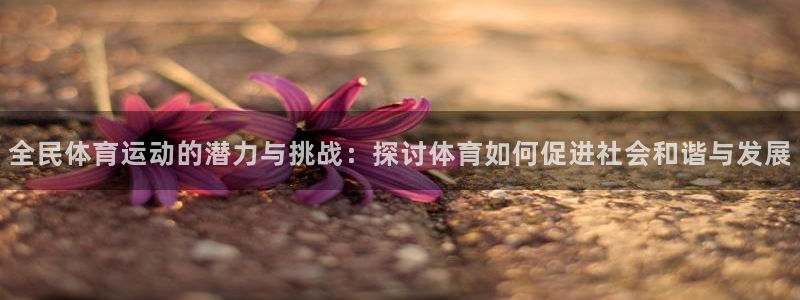 米兰体育网页版