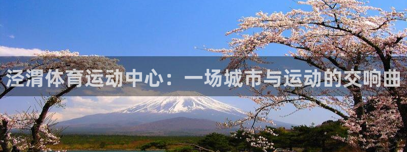 米兰体育官网入口